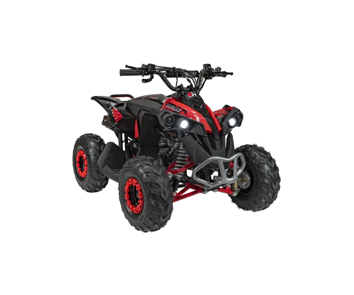 quad-spalinowy-renegade-hiperfect-110cc-na-tle-terenu